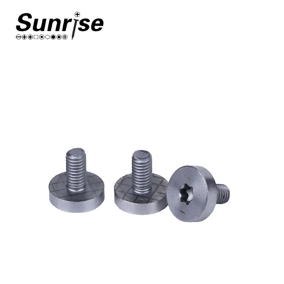Cap Head Torx Drive Machine Skruvar